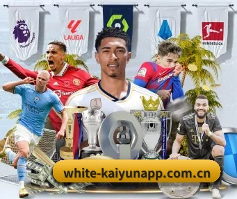 white-kaiyunapp.com.cn APP